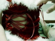 『迷情夜』美乳圣诞装女神骑上后入冲刺诱惑呻吟