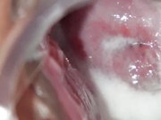 人见人爱萝莉妻干完内窥一下骚逼内部精子是什么样的