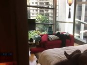 气质风骚淫荡妇找两个大黑屌酒店3p狂操高潮浪叫