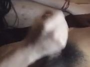 国产TS系列KTV群体相互口活场面壮观大厅洗手间哪里都是战场