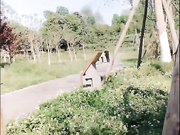 不穿内裤公园啪啪啪不时还有路人经过太他妈的刺激