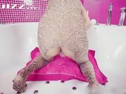 [极品拳交女王周晓琳系列]-性感豹纹刷阴道假阳具虐双穴