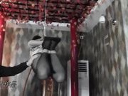 黑丝美乳小嫩模 极致驷马吊绑