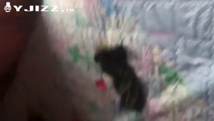 97年舞蹈系模特女级长相三围完美叫声好听