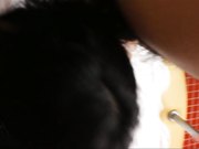 清纯艺校小美女被摄影师带到豪华酒店和胖大款一块3P