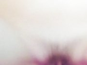 价值66元的微神最新大作