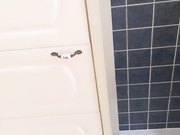 私人会所女技师 口交按摩啪啪大秀