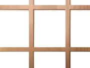 被家里的胖叔叔强奸