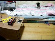 小情侣在出租房啪啪做爱流出 漂亮妹子感觉到了 娇喘连连女上位自己疯狂耸动