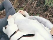 因为疫情大学迟迟没开学寂寞的大学生情侣上完网课到茶园野战