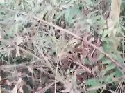 因为疫情大学迟迟没开学寂寞的大学生情侣上完网课到茶园野战