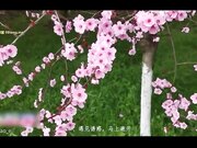 清純嫩妹戶外跳蛋閱讀黑絲足玩-1