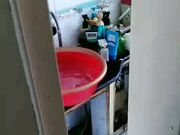 干儿子看完黄片看到妈妈在换衣服浑身欲火忍不住把妈妈扑倒强搞