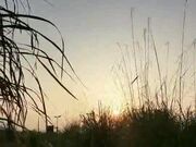 天气不错两个小骚逼跟大哥出来野战，荒郊野外激情打炮