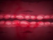 [あんてきぬすっ]OVAヤリチン家庭教師ネトリ報告