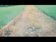 若隐若现稀疏毛毛揉搓起来非常娴熟