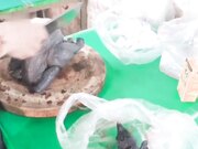 女网红小媛挑战自我勾引市场卖鸡肉的摊贩老板送货上门勾引他打炮