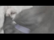 白虎萝莉『柚木』新作性爱私拍